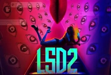 LSD2 BOX OFFICE COLLECTION : LSD 2 तीन दिन में भी नहीं कमा पाई जितना LSD का ओपनिंग डे का कलेक्शन था